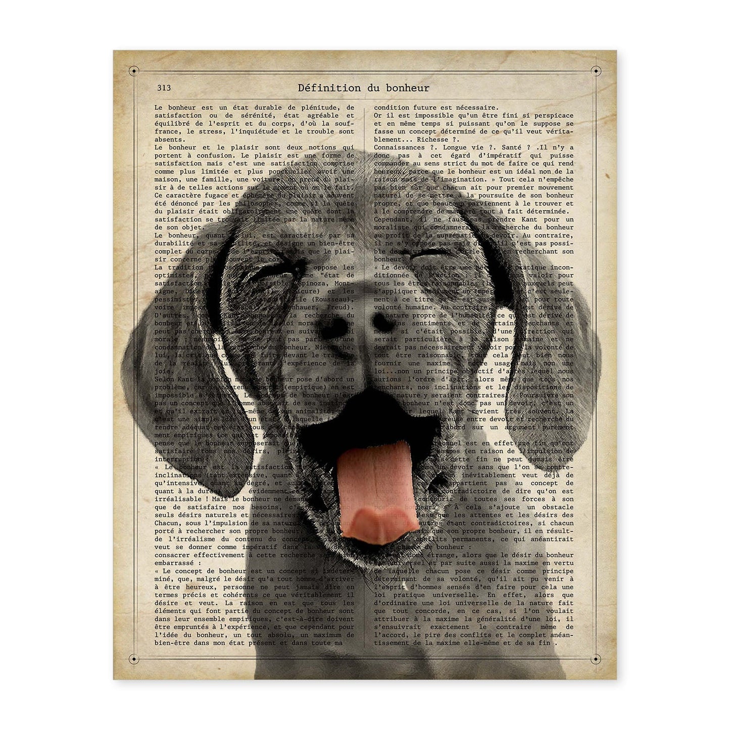 Poster de Perro con lengua fuera. Láminas de animales con definiciones. Ilustraciones de animales con textos.-Artwork-Nacnic-A4-Sin marco-Nacnic Estudio SL