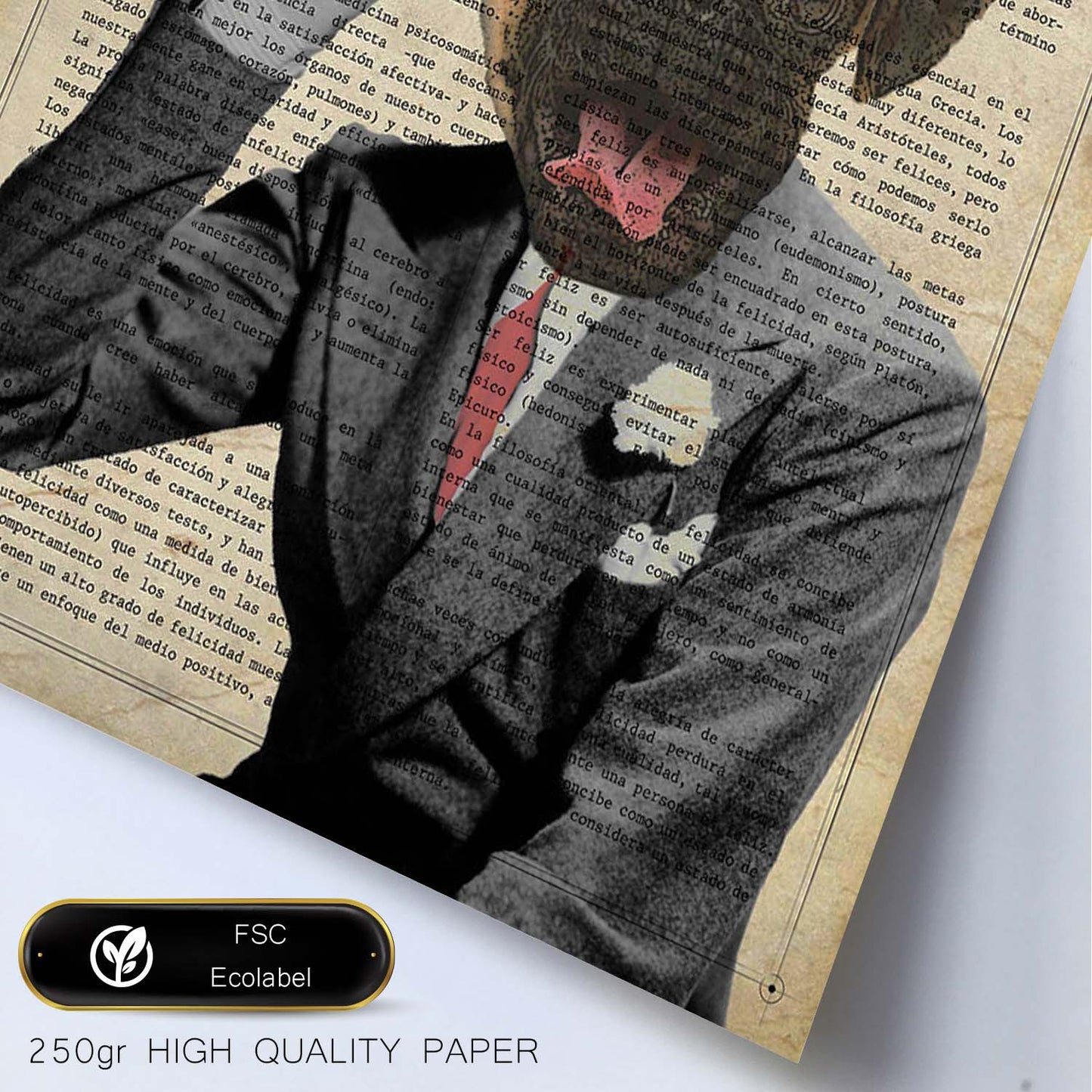 Poster de Perro Fred Astaire. Láminas de animales con definiciones. Ilustraciones de animales con textos.-Artwork-Nacnic-Nacnic Estudio SL
