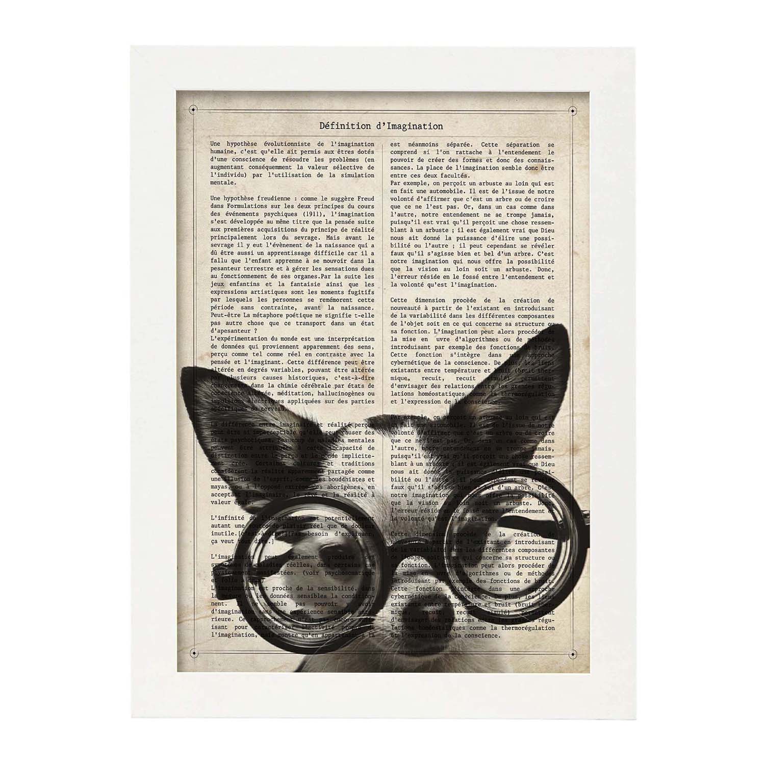 Poster de Perro gafotas. Láminas de animales con definiciones. Ilustraciones de animales con textos.-Artwork-Nacnic-Nacnic Estudio SL