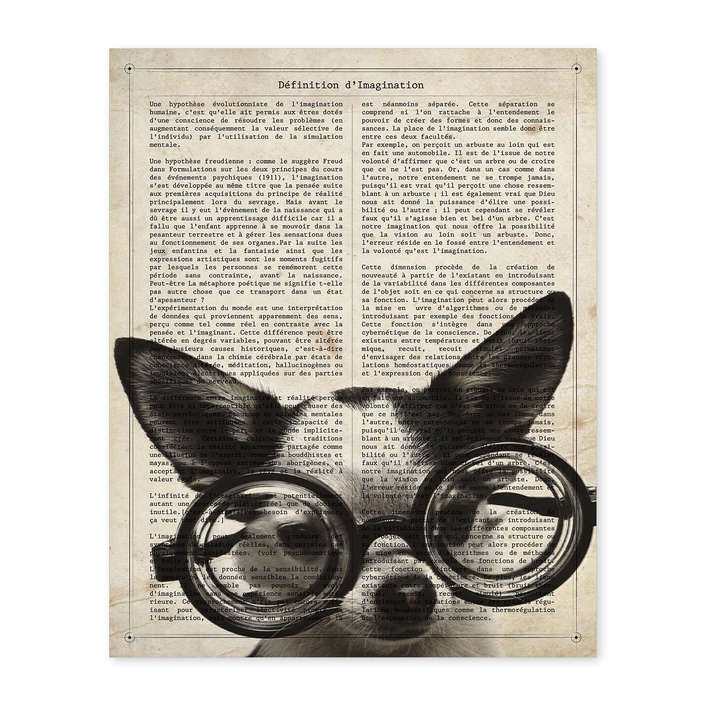 Poster de Perro gafotas. Láminas de animales con definiciones. Ilustraciones de animales con textos.-Artwork-Nacnic-A4-Sin marco-Nacnic Estudio SL