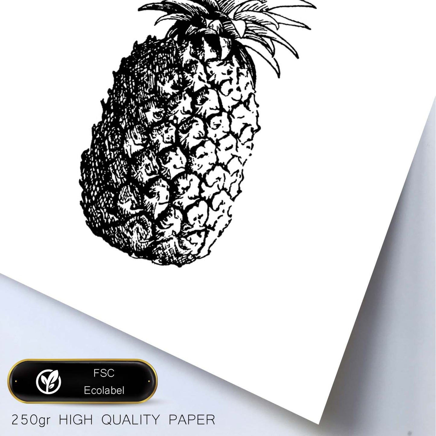 Poster de Pineapple. Láminas de frutas y verduras en inglés.-Artwork-Nacnic-Nacnic Estudio SL