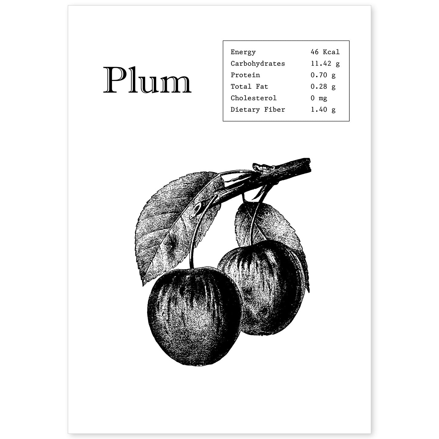 Poster de Plum. Láminas de frutas y verduras en inglés.-Artwork-Nacnic-A4-Sin marco-Nacnic Estudio SL