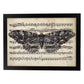 Poster de Polilla morada. Láminas de mariposas. Decoración de mariposas y polillas.-Artwork-Nacnic-A3-Marco Negro-Nacnic Estudio SL