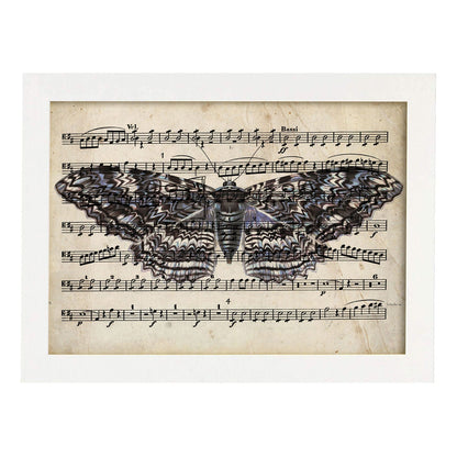 Poster de Polilla morada. Láminas de mariposas. Decoración de mariposas y polillas.-Artwork-Nacnic-A4-Marco Blanco-Nacnic Estudio SL