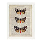 Poster de Polilla tigre. Láminas de mariposas. Decoración de mariposas y polillas.-Artwork-Nacnic-A3-Marco Blanco-Nacnic Estudio SL