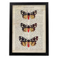 Poster de Polilla tigre. Láminas de mariposas. Decoración de mariposas y polillas.-Artwork-Nacnic-A3-Marco Negro-Nacnic Estudio SL