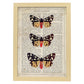 Poster de Polilla tigre. Láminas de mariposas. Decoración de mariposas y polillas.-Artwork-Nacnic-A4-Marco Madera clara-Nacnic Estudio SL