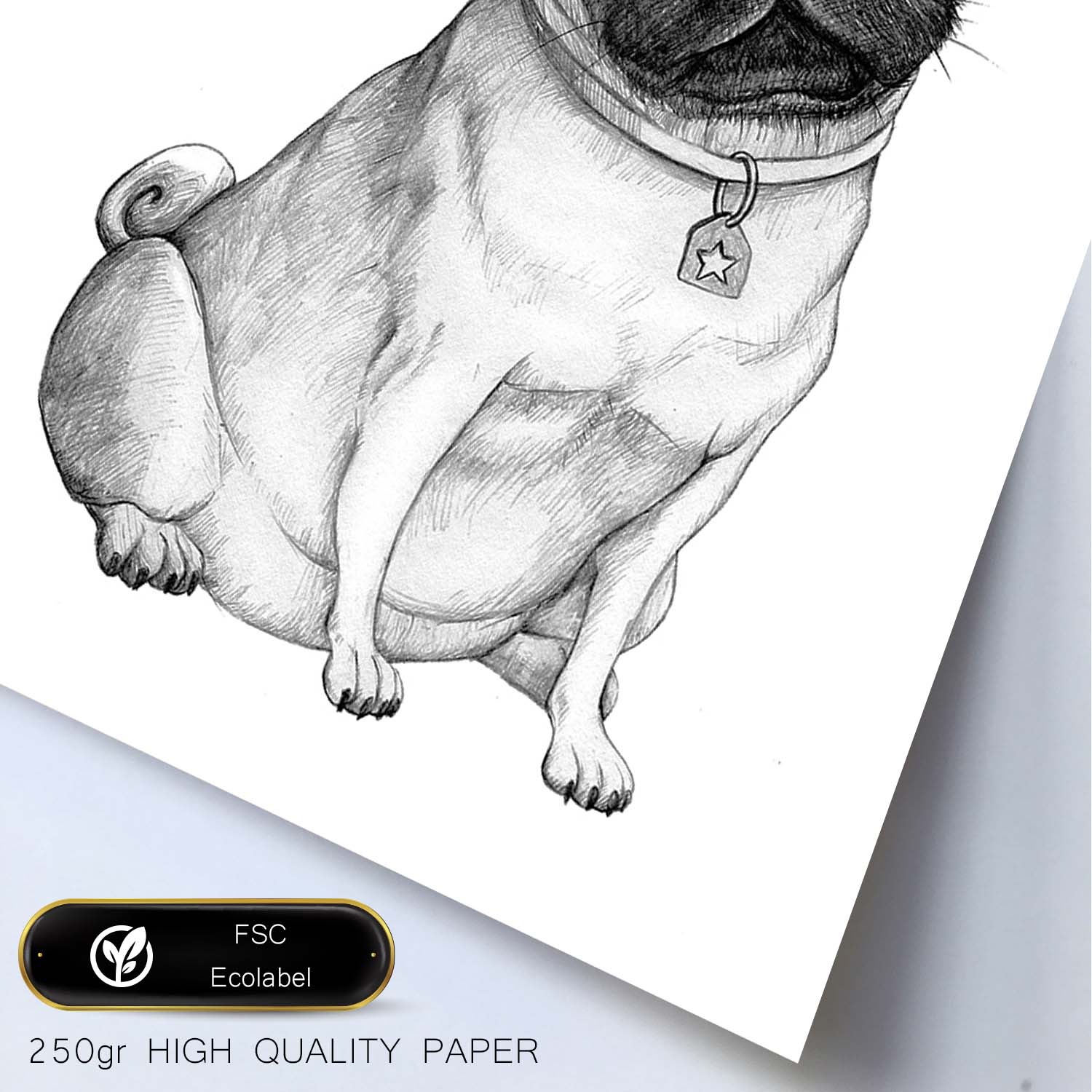 Poster de Pug blanco. Lámina decorativa de perros.-Artwork-Nacnic-Nacnic Estudio SL