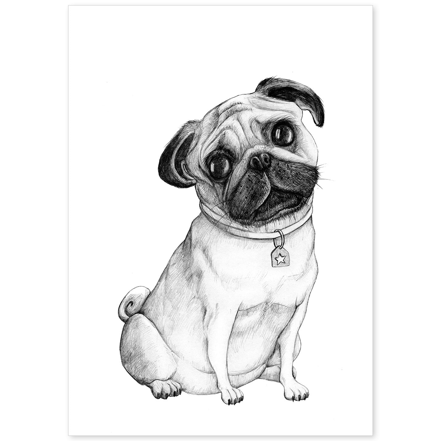 Poster de Pug blanco. Lámina decorativa de perros.-Artwork-Nacnic-A4-Sin marco-Nacnic Estudio SL