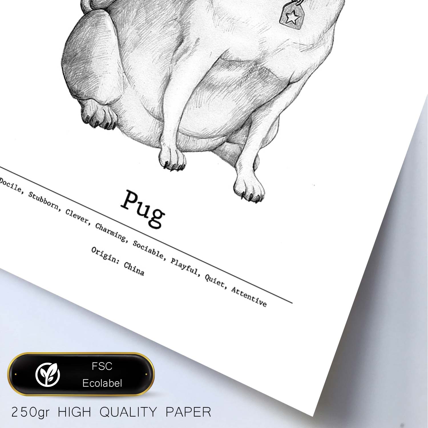 Poster de Pug. Lámina decorativa de perros.-Artwork-Nacnic-Nacnic Estudio SL