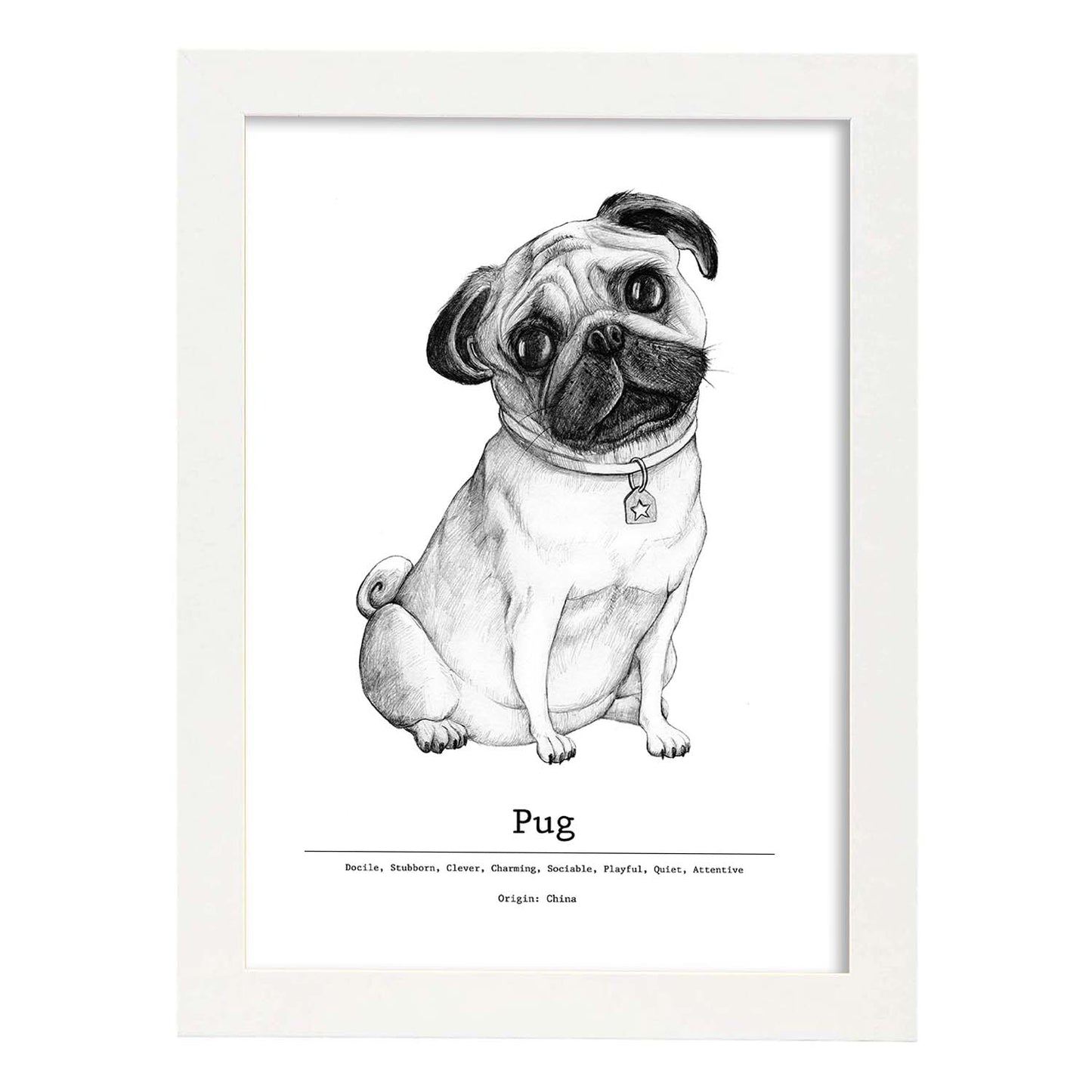 Poster de Pug. Lámina decorativa de perros.-Artwork-Nacnic-A3-Marco Blanco-Nacnic Estudio SL