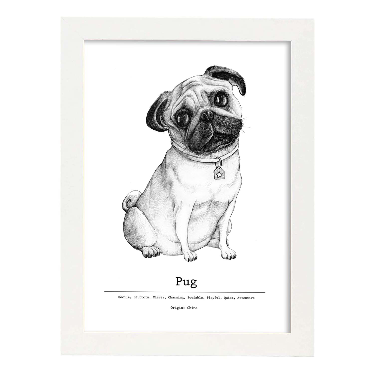 Poster de Pug. Lámina decorativa de perros.-Artwork-Nacnic-A4-Marco Blanco-Nacnic Estudio SL