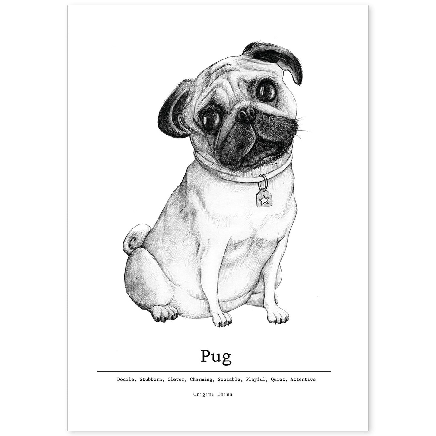 Poster de Pug. Lámina decorativa de perros.-Artwork-Nacnic-A4-Sin marco-Nacnic Estudio SL