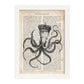 Poster de Pulpo reina. Láminas de animales con definiciones. Ilustraciones de animales con textos.-Artwork-Nacnic-A3-Marco Blanco-Nacnic Estudio SL
