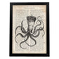 Poster de Pulpo reina. Láminas de animales con definiciones. Ilustraciones de animales con textos.-Artwork-Nacnic-A4-Marco Negro-Nacnic Estudio SL
