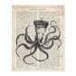 Poster de Pulpo reina. Láminas de animales con definiciones. Ilustraciones de animales con textos.-Artwork-Nacnic-A4-Sin marco-Nacnic Estudio SL