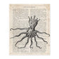 Poster de Pulpo rey. Láminas de animales con definiciones. Ilustraciones de animales con textos.-Artwork-Nacnic-A4-Sin marco-Nacnic Estudio SL