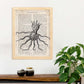 Poster de Pulpo rey. Láminas de animales con definiciones. Ilustraciones de animales con textos.-Artwork-Nacnic-Nacnic Estudio SL