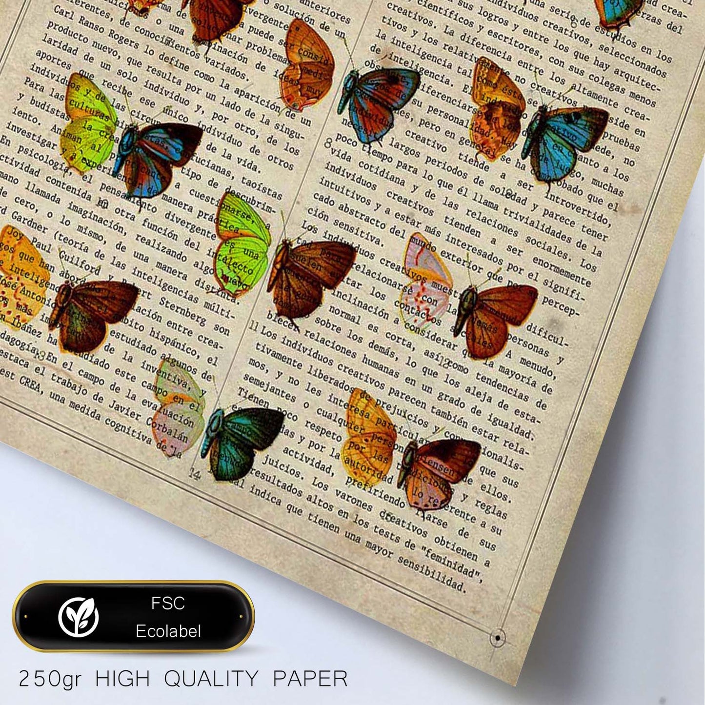 Poster de Quince mariposas. Láminas de mariposas. Decoración de mariposas y polillas.-Artwork-Nacnic-Nacnic Estudio SL