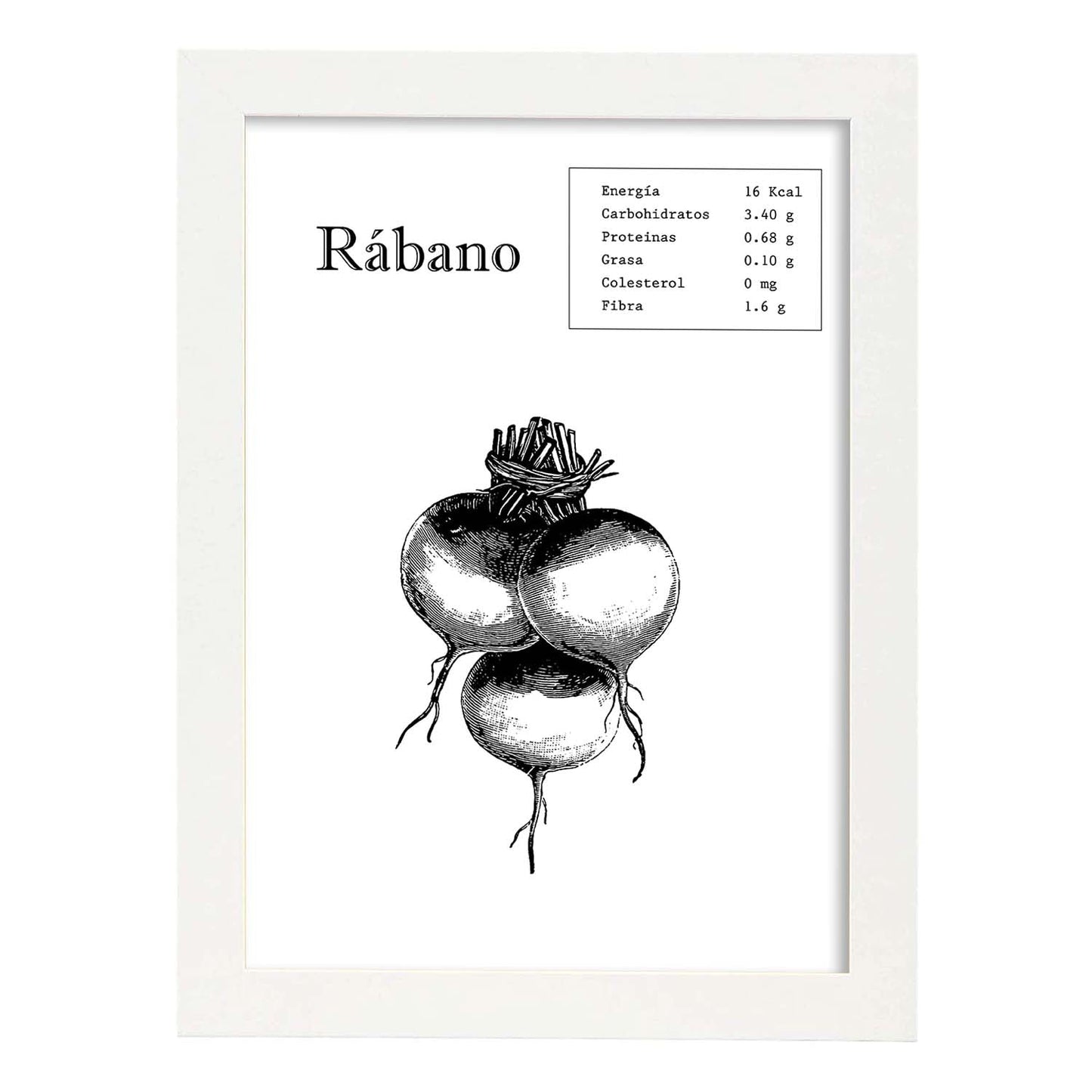 Poster de Rábano. Láminas de frutas y verduras.-Artwork-Nacnic-A3-Marco Blanco-Nacnic Estudio SL