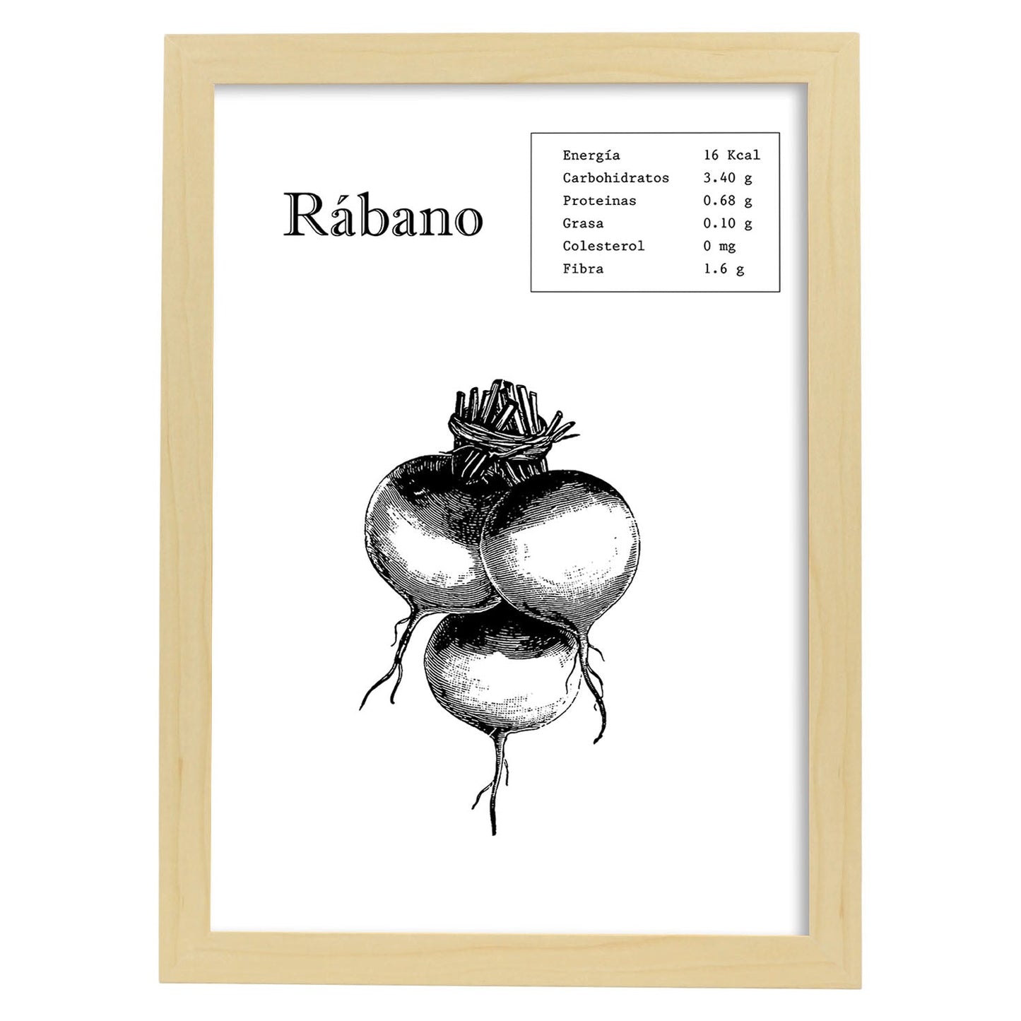 Poster de Rábano. Láminas de frutas y verduras.-Artwork-Nacnic-A3-Marco Madera clara-Nacnic Estudio SL