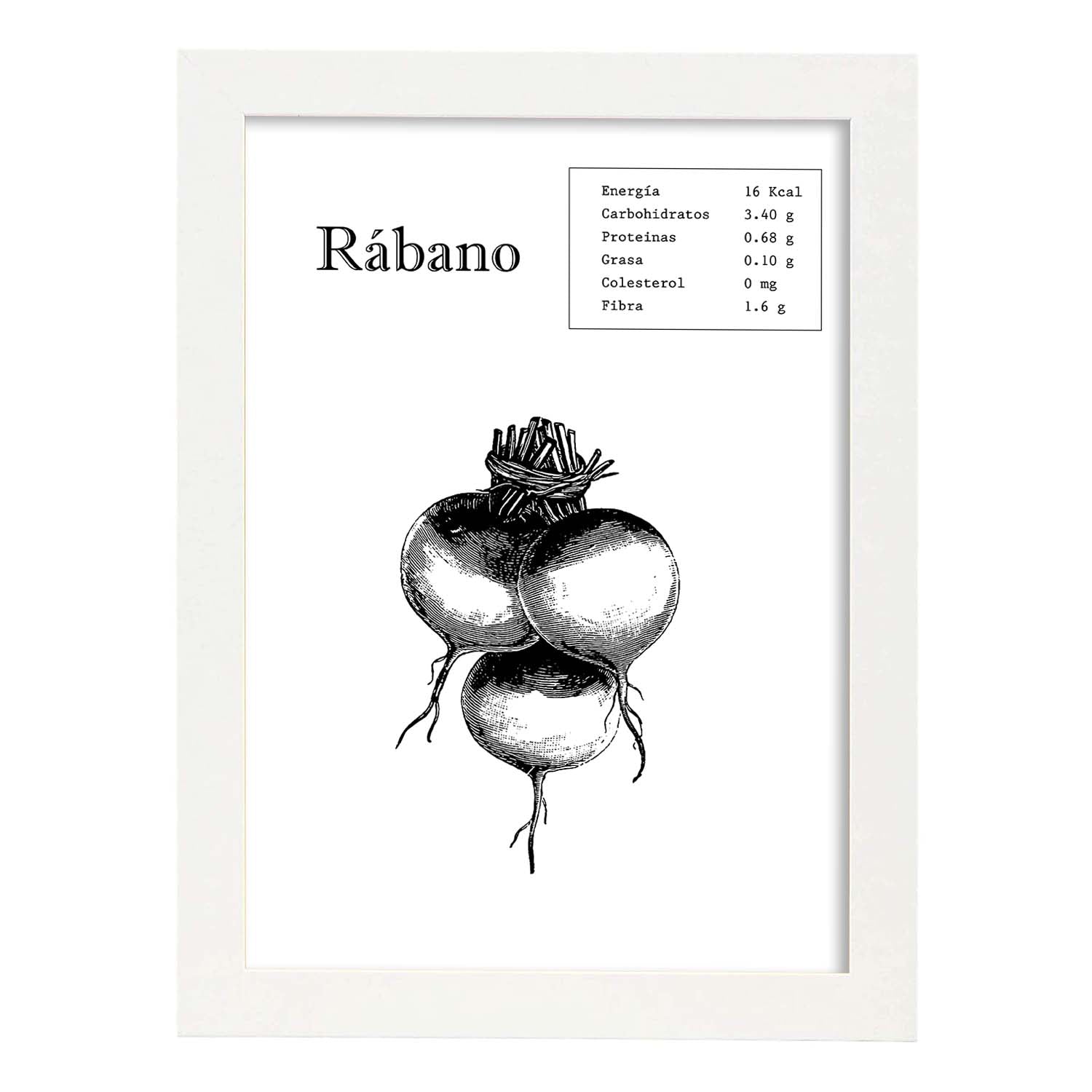 Poster de Rábano. Láminas de frutas y verduras.-Artwork-Nacnic-A4-Marco Blanco-Nacnic Estudio SL