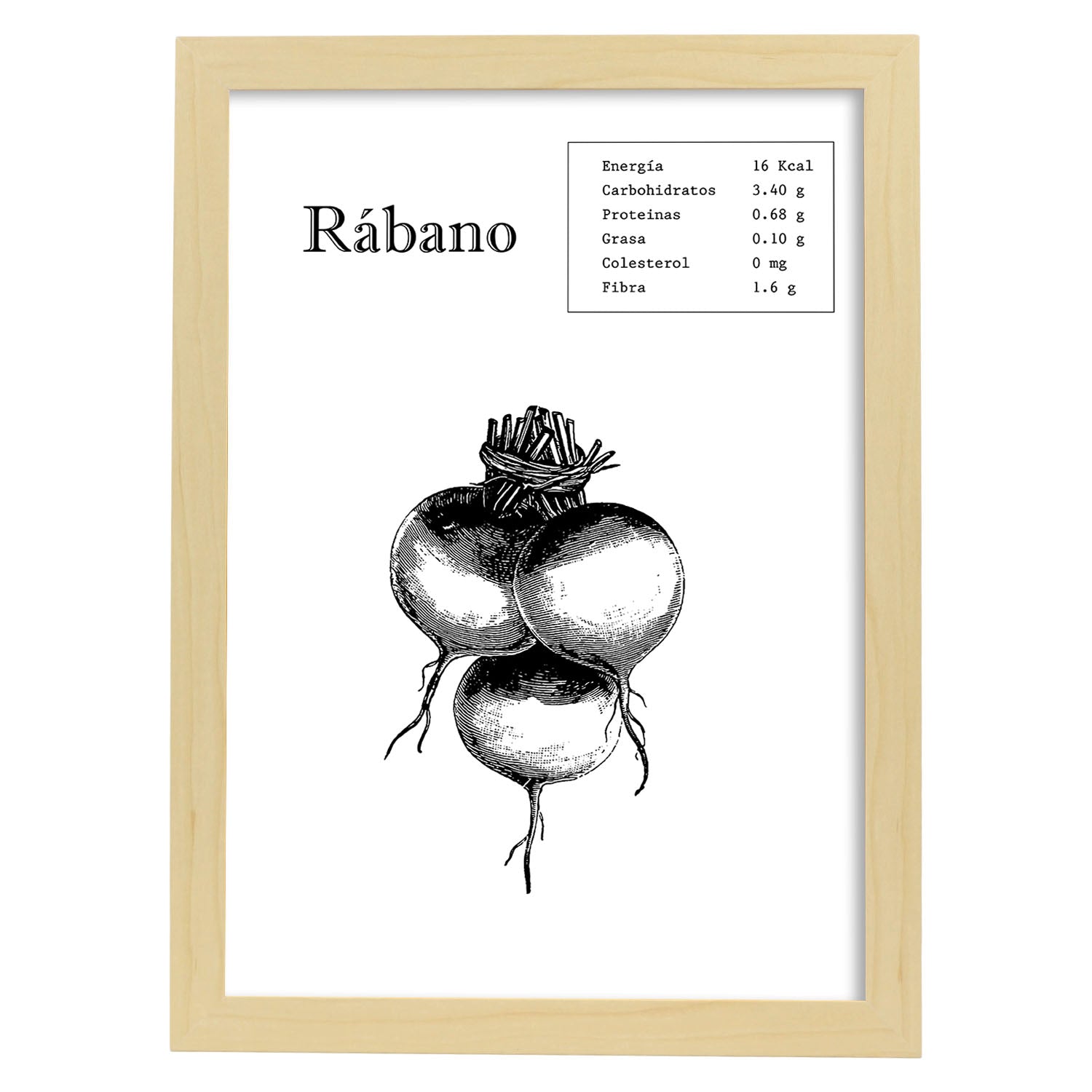 Poster de Rábano. Láminas de frutas y verduras.-Artwork-Nacnic-A4-Marco Madera clara-Nacnic Estudio SL