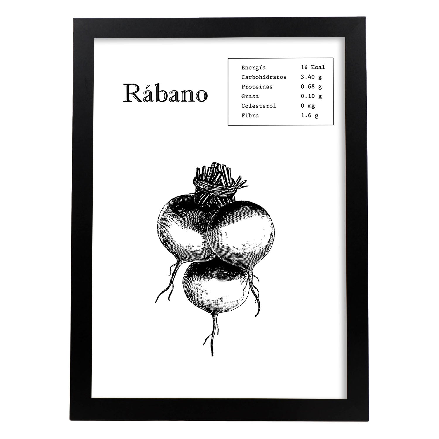 Poster de Rábano. Láminas de frutas y verduras.-Artwork-Nacnic-A4-Marco Negro-Nacnic Estudio SL