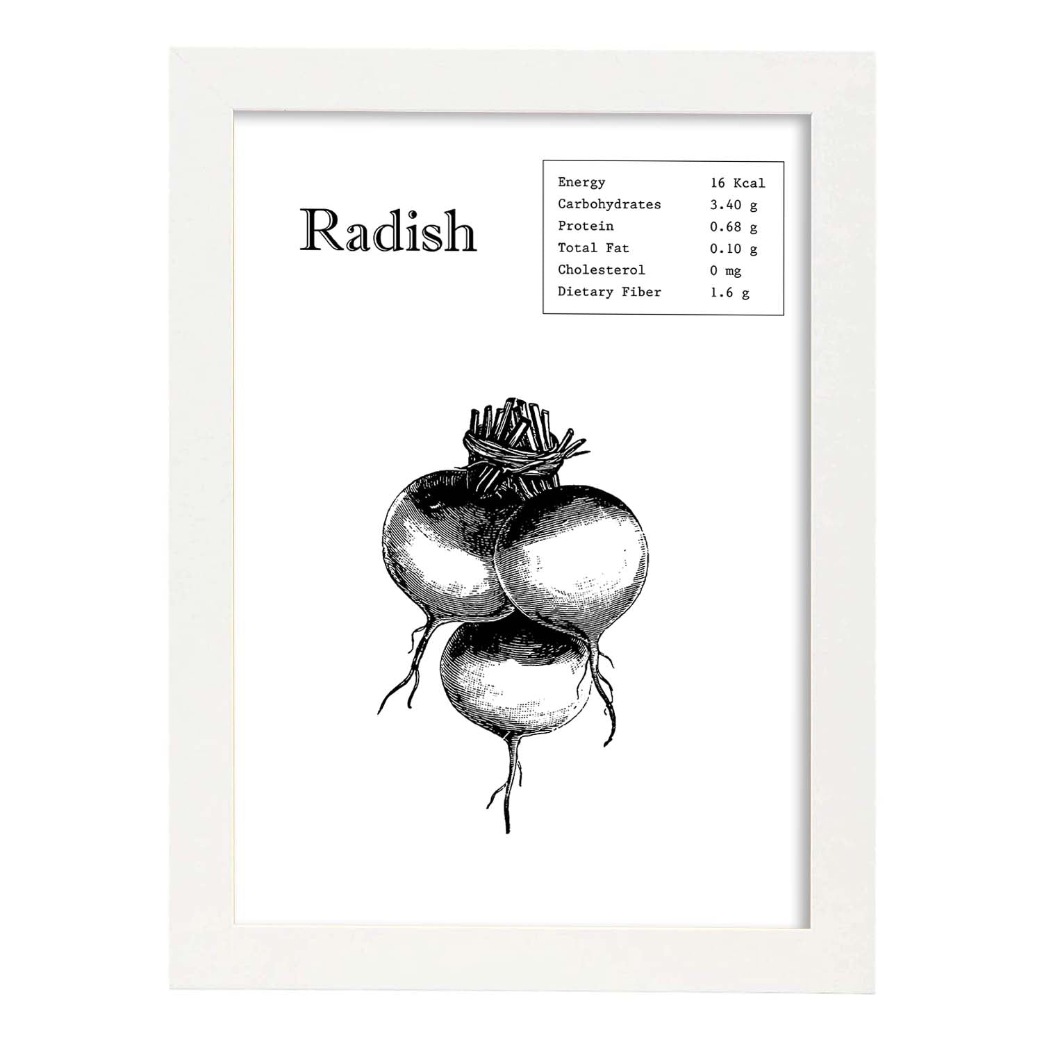 Poster de Radish. Láminas de frutas y verduras en inglés.-Artwork-Nacnic-A3-Marco Blanco-Nacnic Estudio SL