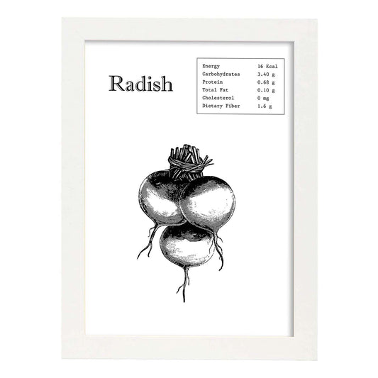 Poster de Radish. Láminas de frutas y verduras en inglés.-Artwork-Nacnic-A4-Marco Blanco-Nacnic Estudio SL