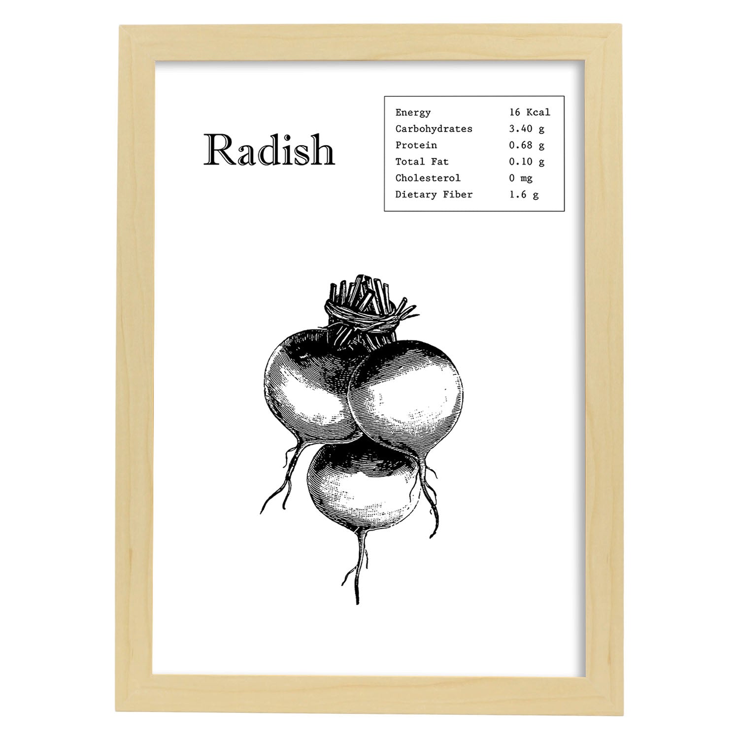 Poster de Radish. Láminas de frutas y verduras en inglés.-Artwork-Nacnic-A4-Marco Madera clara-Nacnic Estudio SL