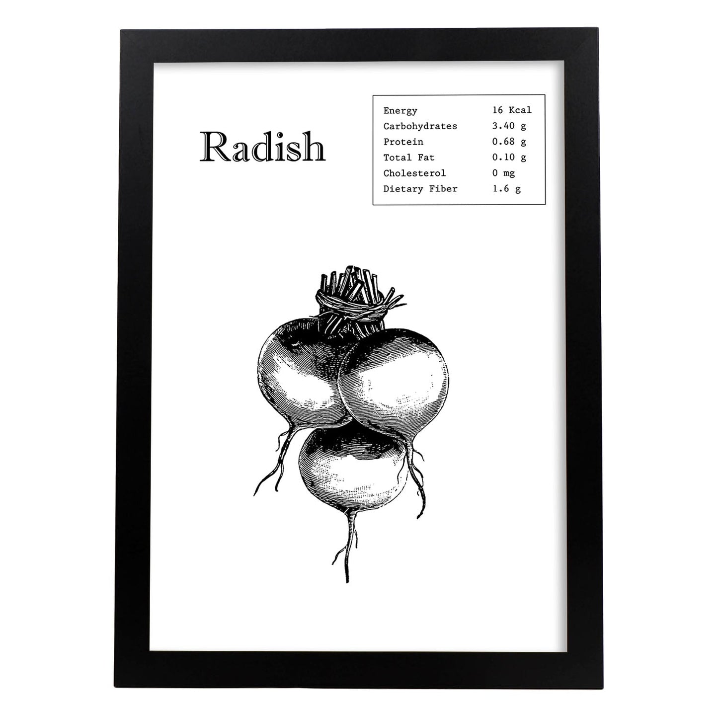 Poster de Radish. Láminas de frutas y verduras en inglés.-Artwork-Nacnic-A4-Marco Negro-Nacnic Estudio SL