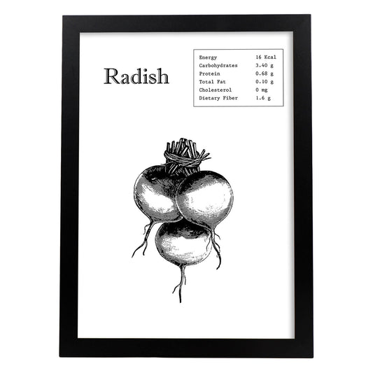 Poster de Radish. Láminas de frutas y verduras en inglés.-Artwork-Nacnic-A4-Marco Negro-Nacnic Estudio SL