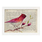 Poster de RapsBerry Bird con definición. Láminas de animales con texto y definición. Diseño de interiores basado en animales.-Artwork-Nacnic-A4-Marco Blanco-Nacnic Estudio SL