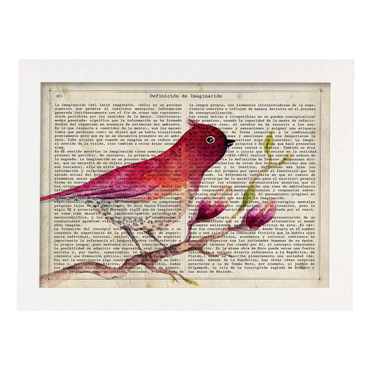 Poster de RapsBerry Bird con definición. Láminas de animales con texto y definición. Diseño de interiores basado en animales.-Artwork-Nacnic-A4-Marco Blanco-Nacnic Estudio SL