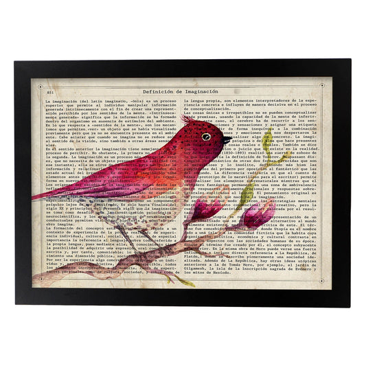 Poster de RapsBerry Bird con definición. Láminas de animales con texto y definición. Diseño de interiores basado en animales.-Artwork-Nacnic-A4-Marco Negro-Nacnic Estudio SL