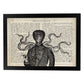 Poster de Rasta Octopus con definición. Láminas de animales con texto y definición. Diseño de interiores basado en animales.-Artwork-Nacnic-A3-Marco Negro-Nacnic Estudio SL