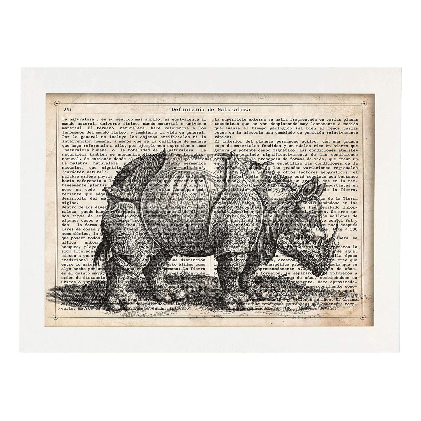 Poster de Rinoceronte. Láminas de animales con definiciones. Ilustraciones de animales con textos.-Artwork-Nacnic-A3-Marco Blanco-Nacnic Estudio SL
