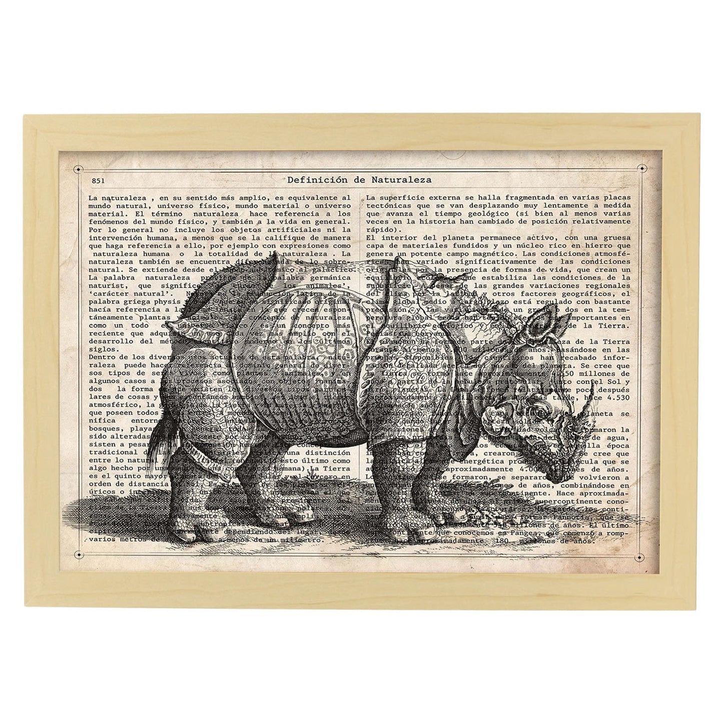 Poster de Rinoceronte. Láminas de animales con definiciones. Ilustraciones de animales con textos.-Artwork-Nacnic-A3-Marco Madera clara-Nacnic Estudio SL