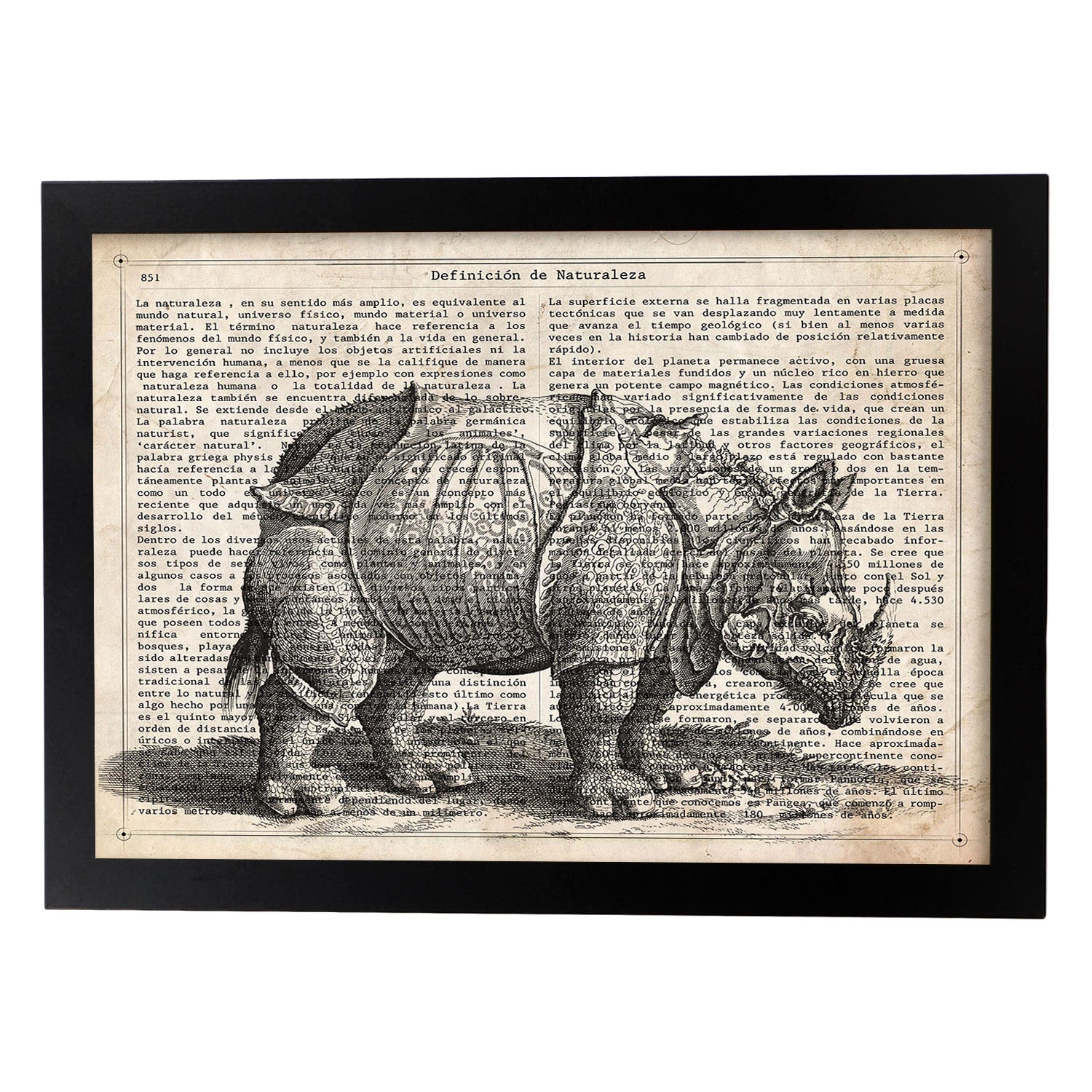 Poster de Rinoceronte. Láminas de animales con definiciones. Ilustraciones de animales con textos.-Artwork-Nacnic-A3-Marco Negro-Nacnic Estudio SL