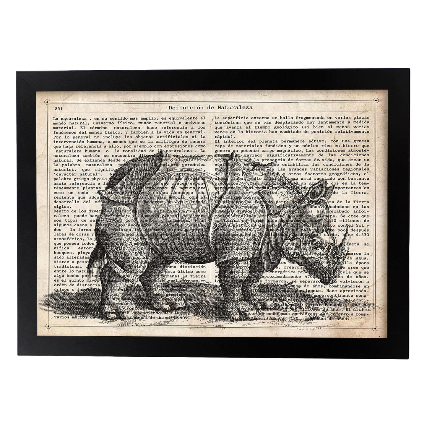Poster de Rinoceronte. Láminas de animales con definiciones. Ilustraciones de animales con textos.-Artwork-Nacnic-A4-Marco Negro-Nacnic Estudio SL