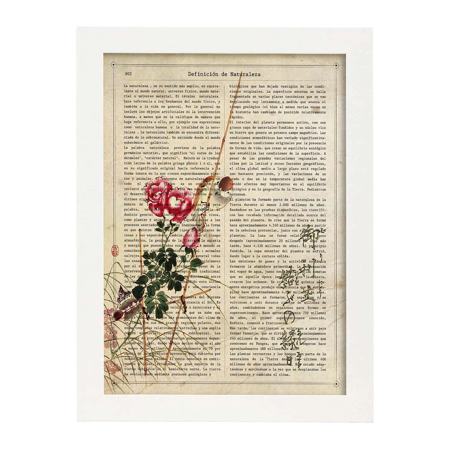 Poster de Rosas y pajaro. Láminas coloridas con definiciones. Ilustraciones llenas de color para-Artwork-Nacnic-Nacnic Estudio SL