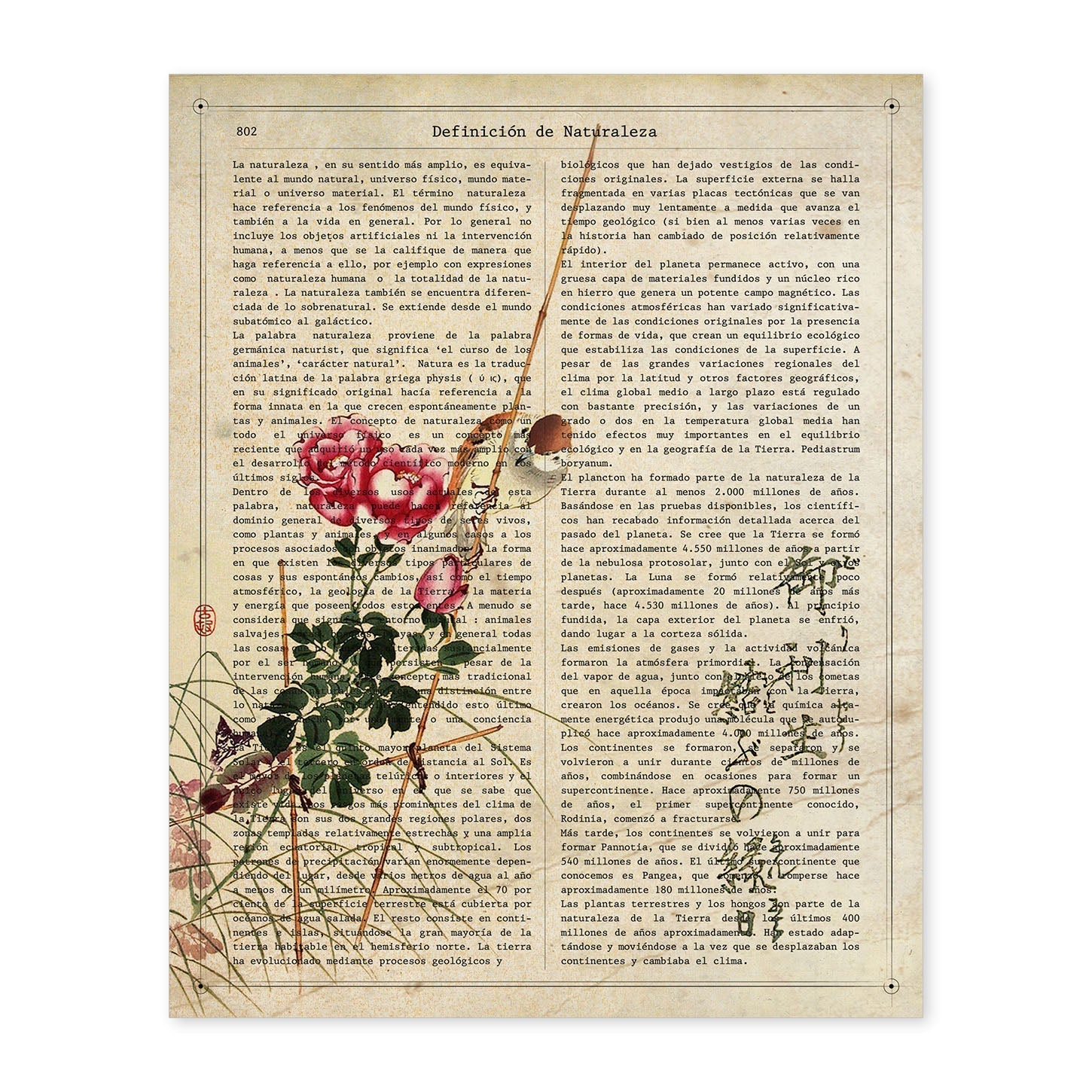 Poster de Rosas y pajaro. Láminas coloridas con definiciones. Ilustraciones llenas de color para-Artwork-Nacnic-A4-Sin marco-Nacnic Estudio SL