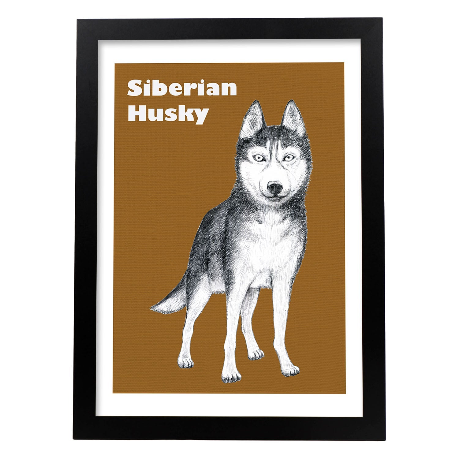 Poster de Siberiano. Lámina decorativa de perros.-Artwork-Nacnic-A3-Marco Negro-Nacnic Estudio SL