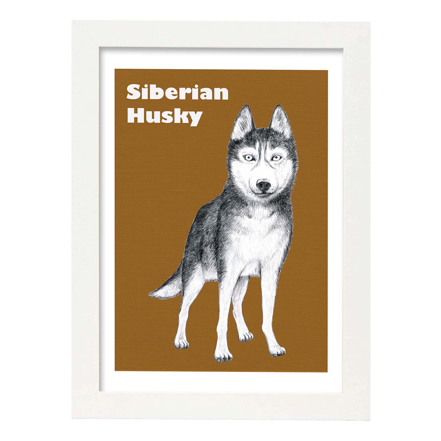 Poster de Siberiano. Lámina decorativa de perros.-Artwork-Nacnic-A4-Marco Blanco-Nacnic Estudio SL