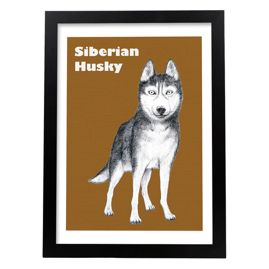 Poster de Siberiano. Lámina decorativa de perros.-Artwork-Nacnic-A4-Marco Negro-Nacnic Estudio SL
