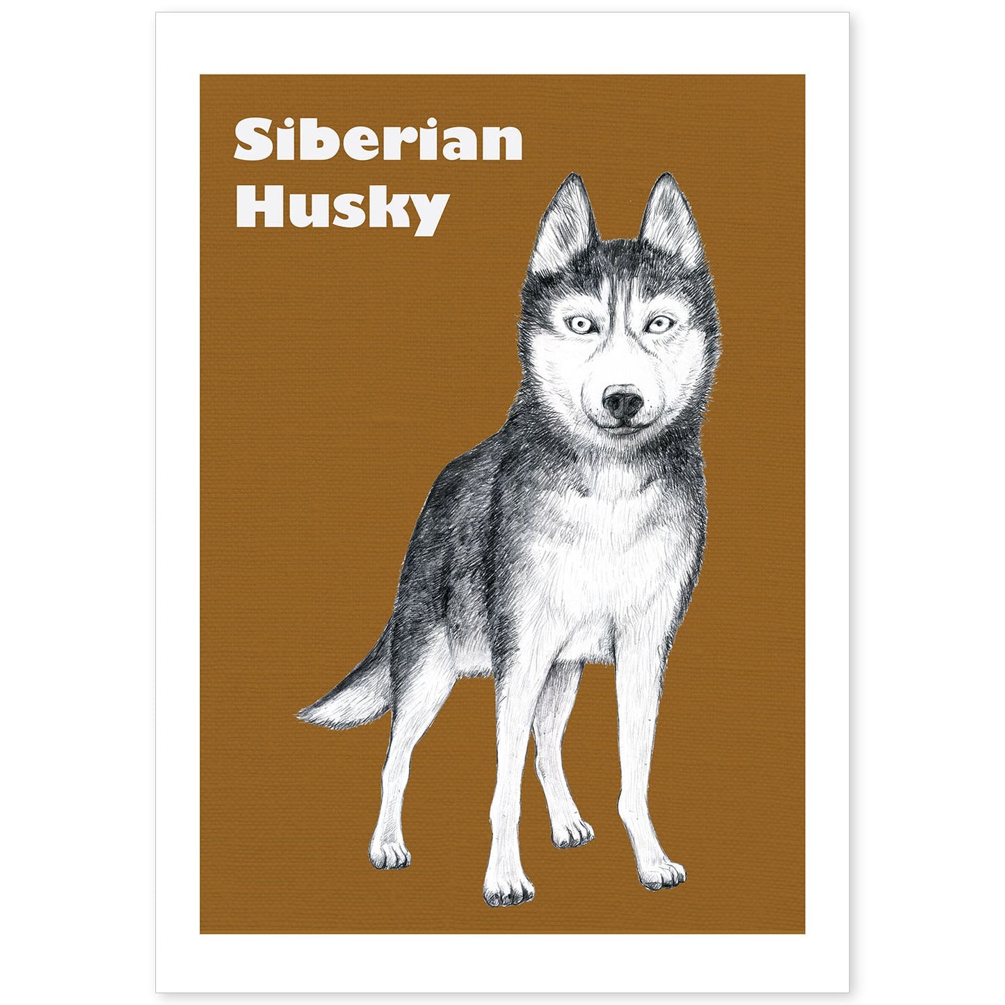 Poster de Siberiano. Lámina decorativa de perros.-Artwork-Nacnic-A4-Sin marco-Nacnic Estudio SL