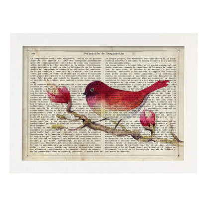 Poster de Strawberry Bird con definición. Láminas de animales con texto y definición. Diseño de interiores basado en animales.-Artwork-Nacnic-A4-Marco Blanco-Nacnic Estudio SL