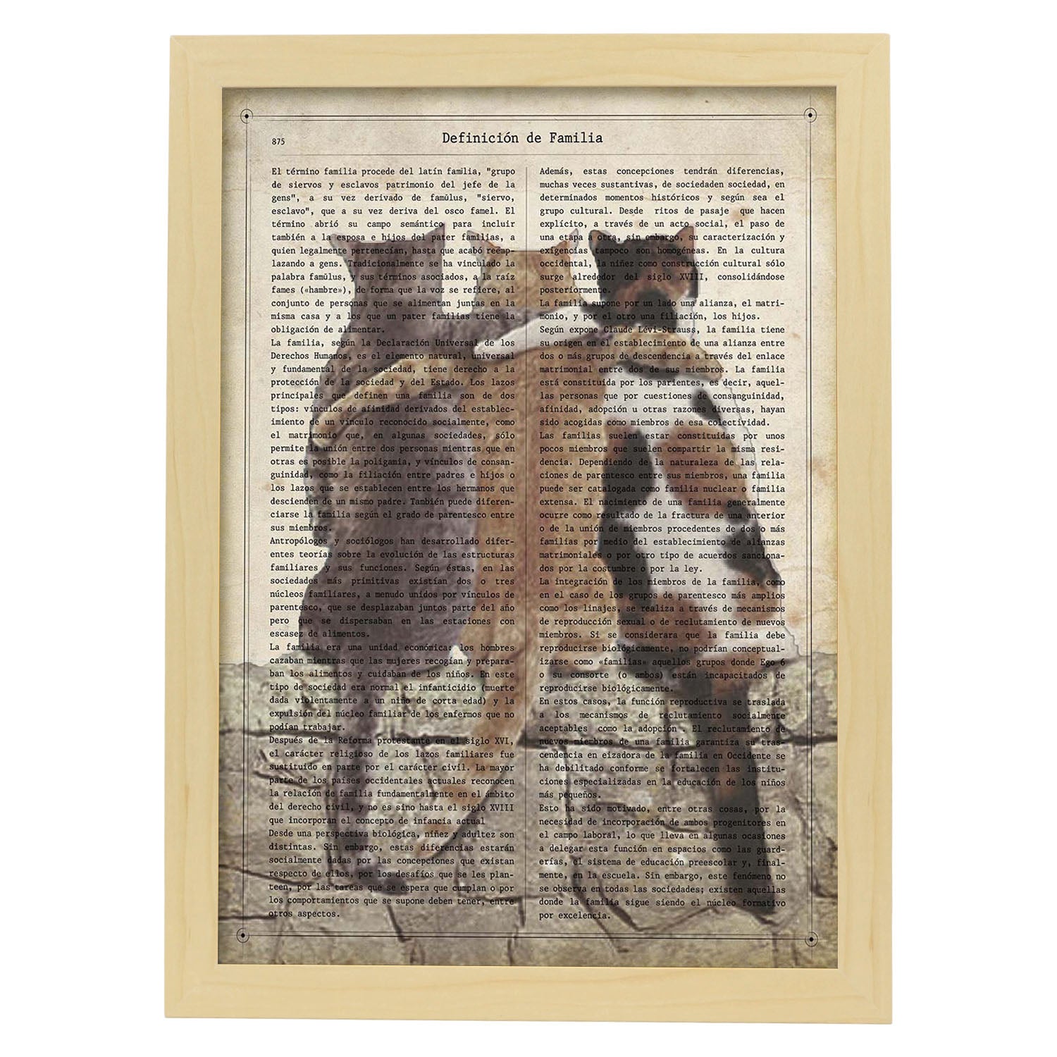 Poster de Tres amigos gatos. Láminas de animales con definiciones. Ilustraciones de animales con textos.-Artwork-Nacnic-A3-Marco Madera clara-Nacnic Estudio SL