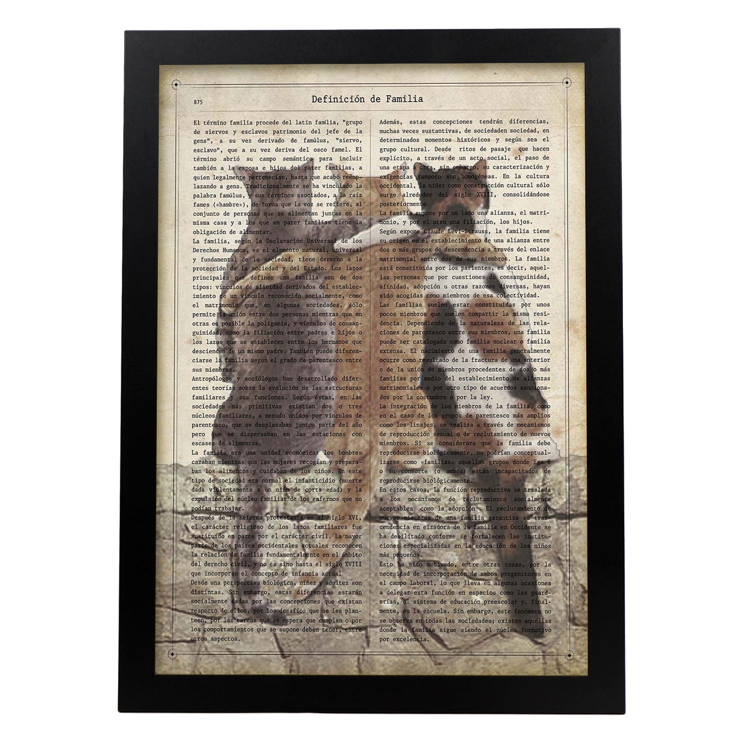 Poster de Tres amigos gatos. Láminas de animales con definiciones. Ilustraciones de animales con textos.-Artwork-Nacnic-A3-Marco Negro-Nacnic Estudio SL